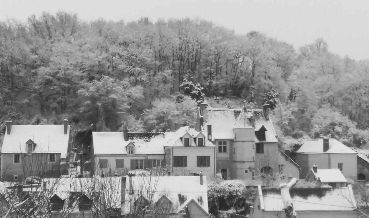 مبيت وإفطار Bourré Le Manoir Des Roches المظهر الخارجي الصورة