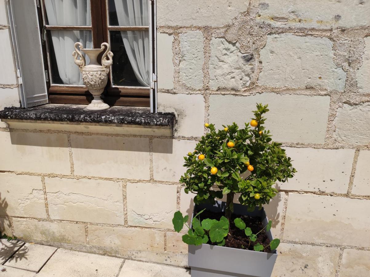 مبيت وإفطار Bourré Le Manoir Des Roches المظهر الخارجي الصورة