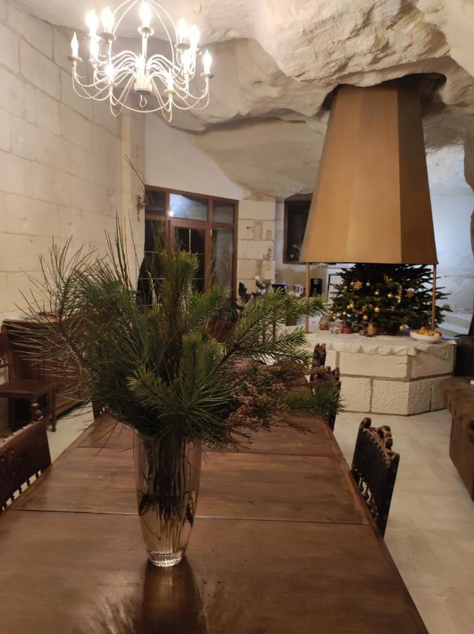 مبيت وإفطار Bourré Le Manoir Des Roches المظهر الخارجي الصورة