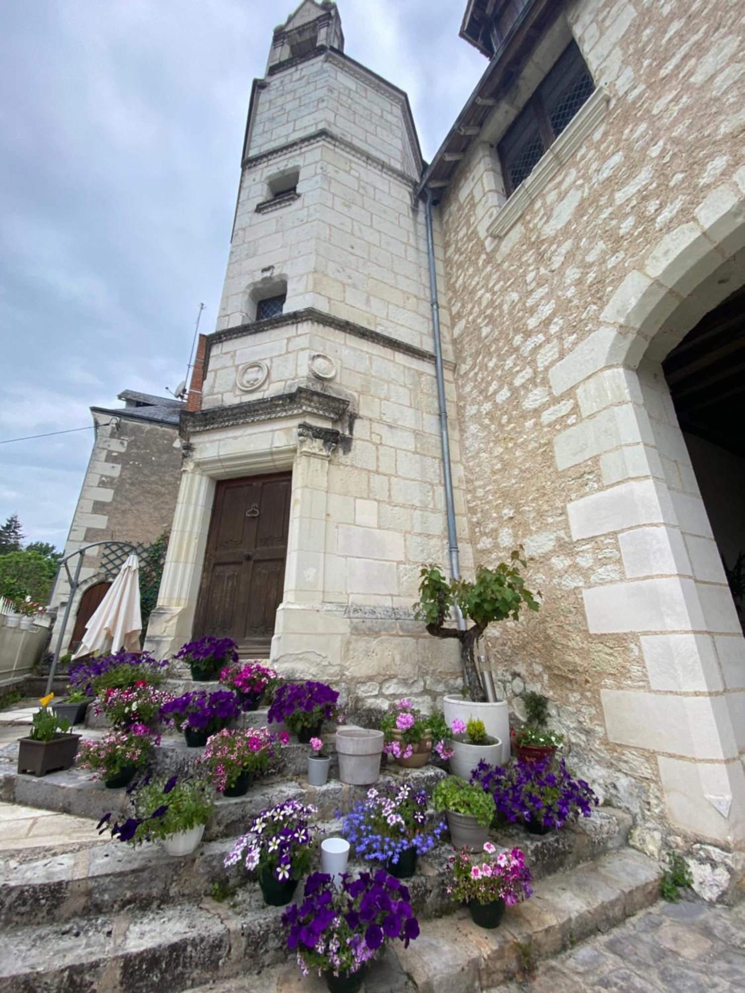 مبيت وإفطار Bourré Le Manoir Des Roches المظهر الخارجي الصورة