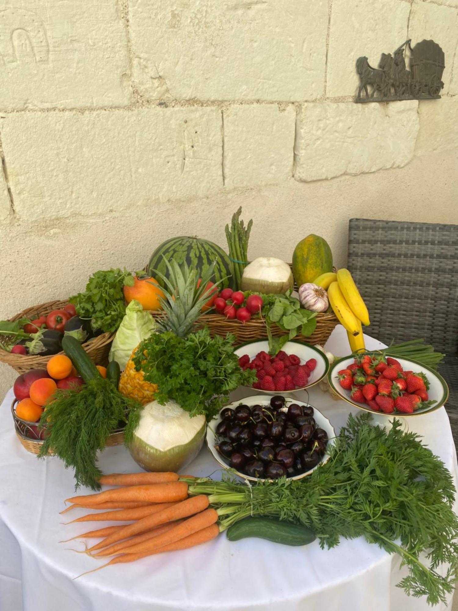 مبيت وإفطار Bourré Le Manoir Des Roches المظهر الخارجي الصورة